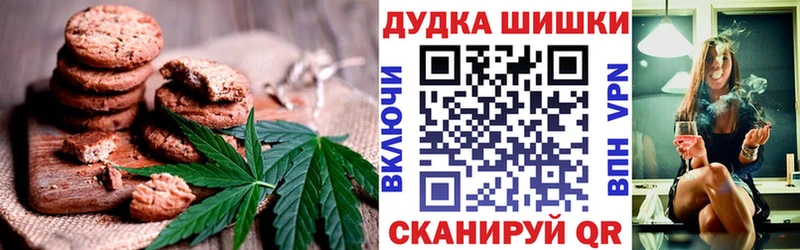 Купить закладки  Лениногорск  Canna-Cookies марихуана 