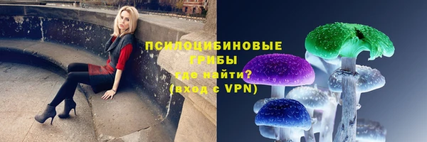 кристаллы Гусь-Хрустальный