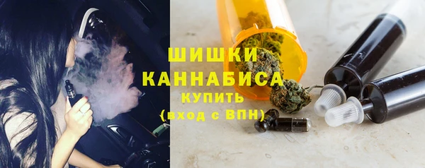 2c-b Гусиноозёрск