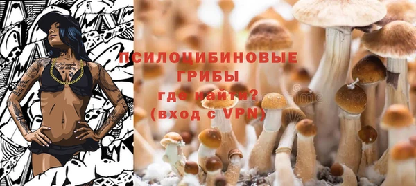 мяу мяу кристалл Гусев