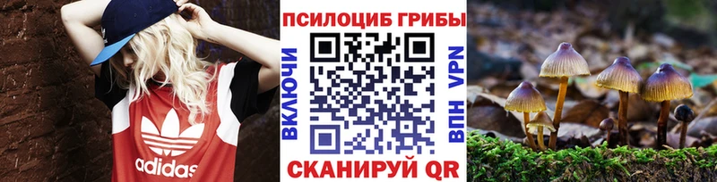 Купить  Лениногорск  Псилоцибиновые грибы ЛСД 